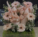 نقصة " مزنـــه " المميزة لشهر رمضان الفضيل🌙